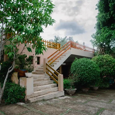Green Organic Villas-3