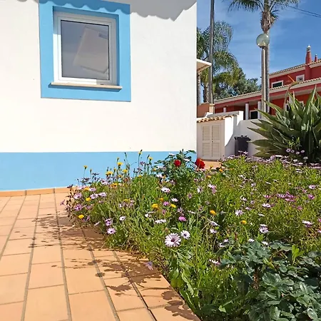Casa Azul-2