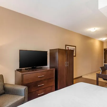Best Western Plus Kindersley Hotel-3