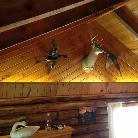 Rough Cut Lodge-2