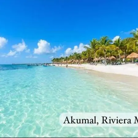 El Ultimo Maya-2