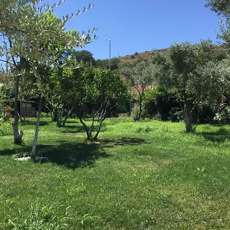 sakız tinyhouse-2