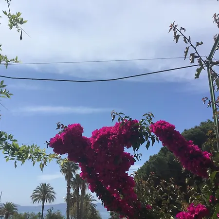 L'ilot Fleuri-2