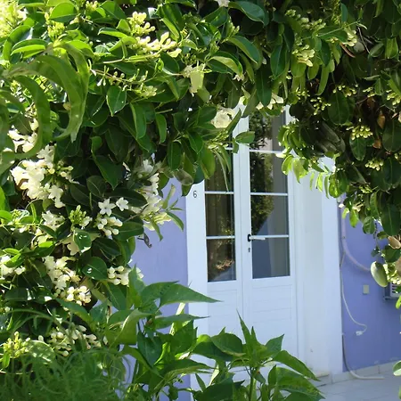 Villa Eliza-2