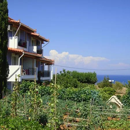 Villa Eliza-3
