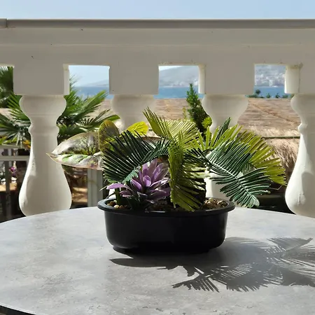 ORCHIDS Hotel-3