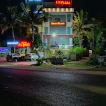 Hotel Ln Plaza Balasore-2