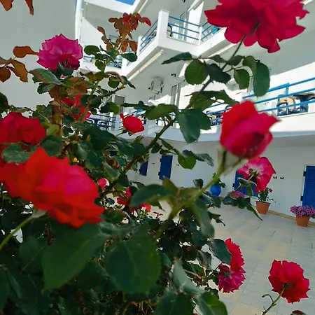 Akrogiali-2