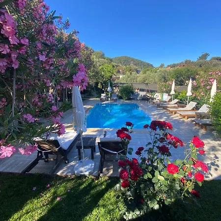 Montenegro Motel-3