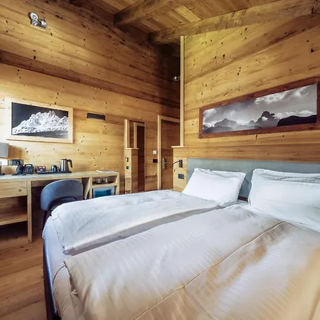 Hotel Villa Alpina ***S-2