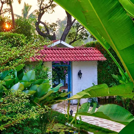 Blu Resorts-2