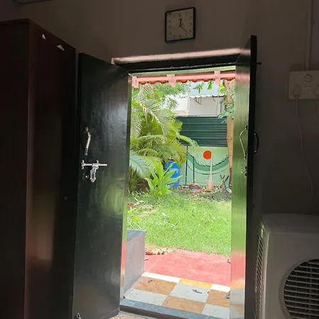The Lazy Palm Shack-2