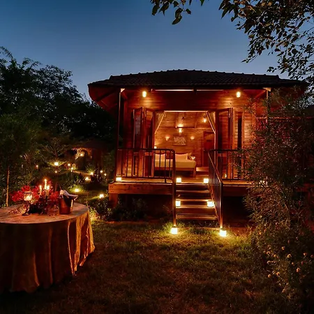 The Earth At Ranthambore-3