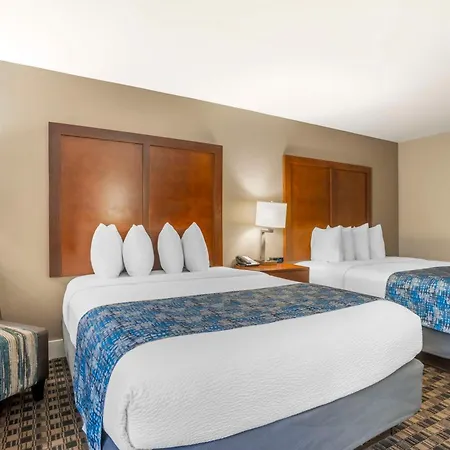 Best Western Plus Greenville I-385 Inn & Suites-3