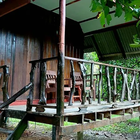 Bamboo House-3