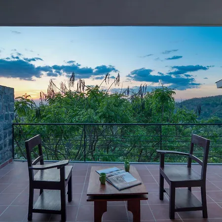 Mango Hill Yercaud-2