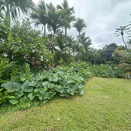Hawaiian Ohana Home-3