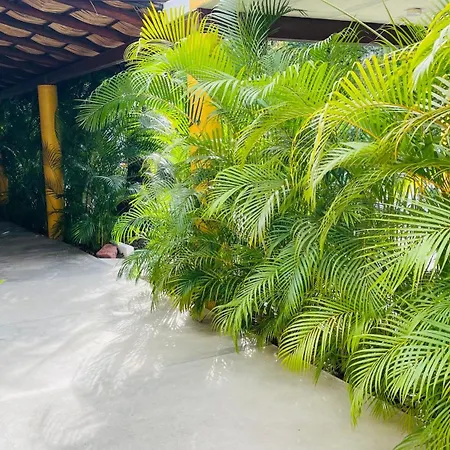 Hospedaje Ixaya-2