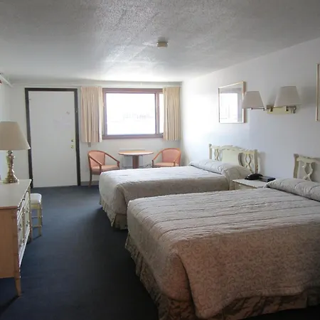Green Dolphin-2