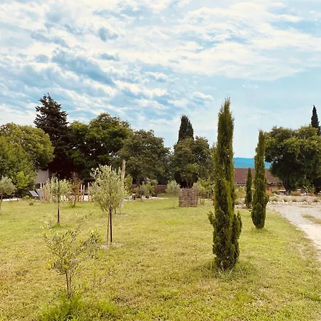 Le Domaine Saint Jean-2