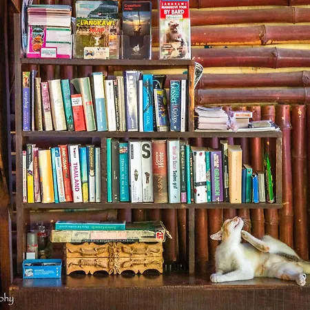 Gecko Guesthouse-2