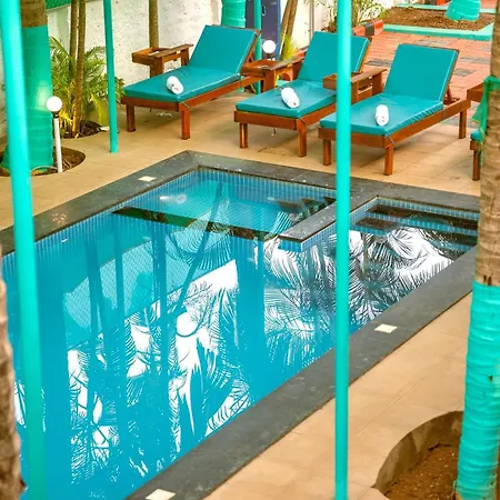 Crystall Goa Emerald Edition-2
