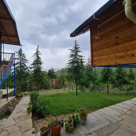 The Roots Homestay-2