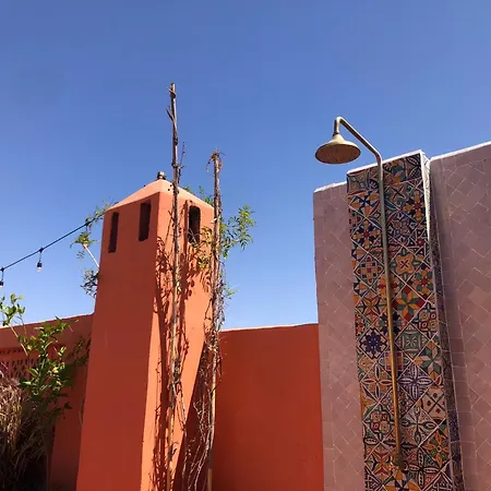 Riad Imndi-2