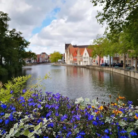 Die Scone Guestroom - Private House Experience In Central Bruges-2