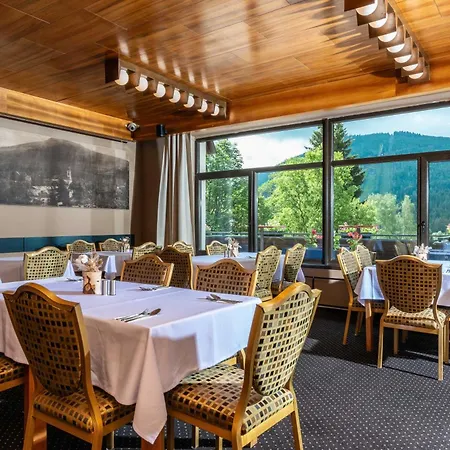 Wellness Hotel Šedý Vlk-3