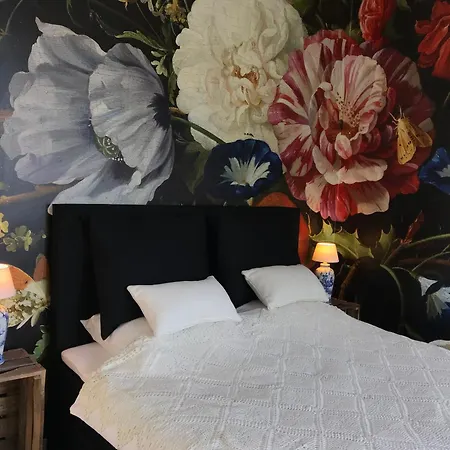 B&B Valkenbos-2