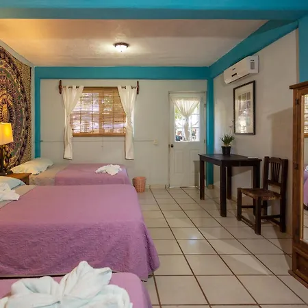 Colibri Hotel-3