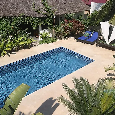 Aurora Boutique Hotel Jambiani-3