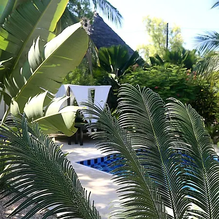 Aurora Boutique Hotel Jambiani-2