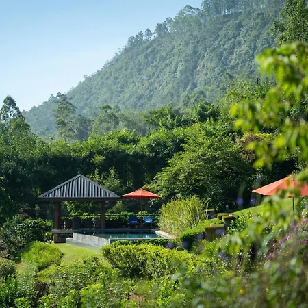 Camellia Hills By Teardrop Hotels-3
