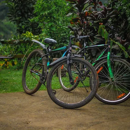 Edens Munnar-2