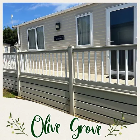 Olive-Grove-2