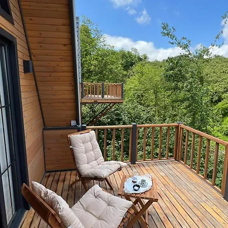 Queen City Hotel & Bungalov-2
