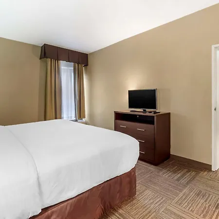 Comfort Inn & Suites Sea-Tac Airport-3