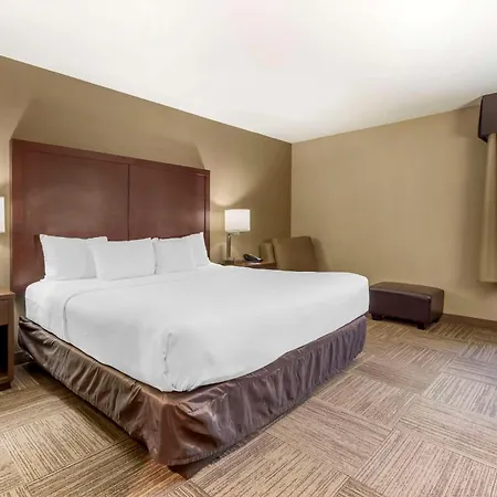 Comfort Inn & Suites Sea-Tac Airport-3