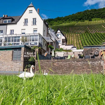 Weingut / Gästehaus Gerlach-2