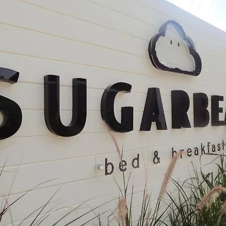 Sugar Beat-3