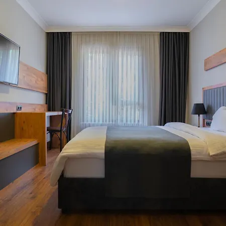 Pazarcik Mountain Hotel-3