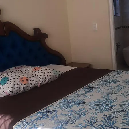 Alpha Inn Guest House Accommodation-2