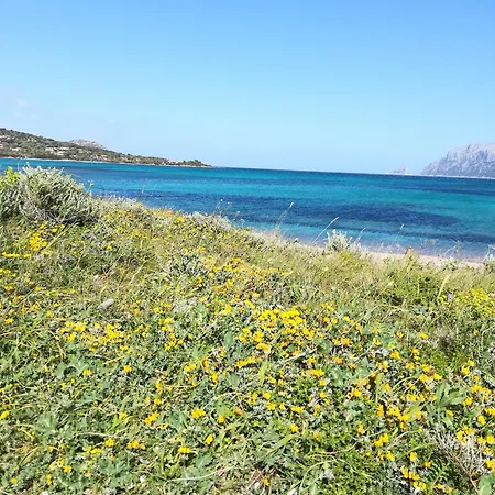 Al Lungomare-2