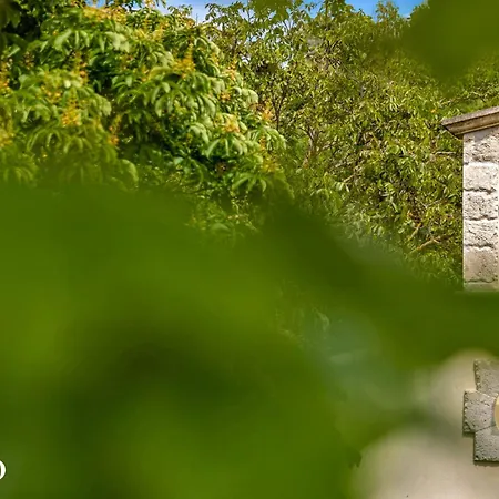 Bastide Domaine Tour Campanets-3