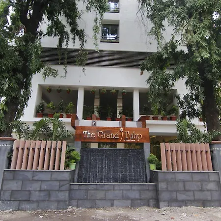 The Grand Tulip-2