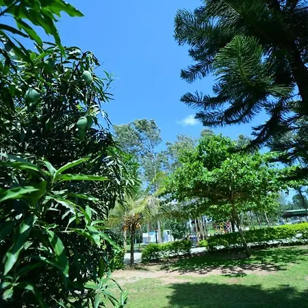 Sipayi Resort Coorg-3
