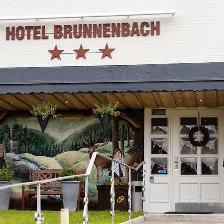 Hotel Brunnenbach-3