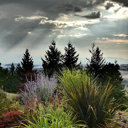 Bella Collina Bed And Breakfast-2